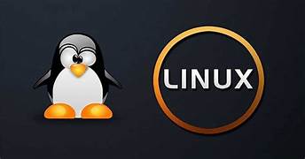 OPERADOR DE LINUX